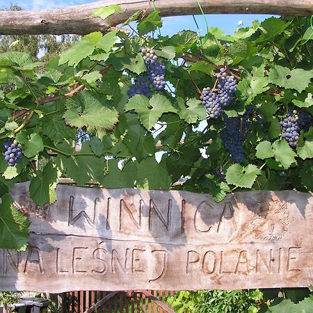 Winnica Na Lesnej Polanie Zabor Exterior photo